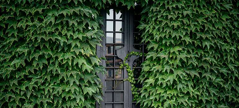 Garden Gate Repair in Melbourne, FL