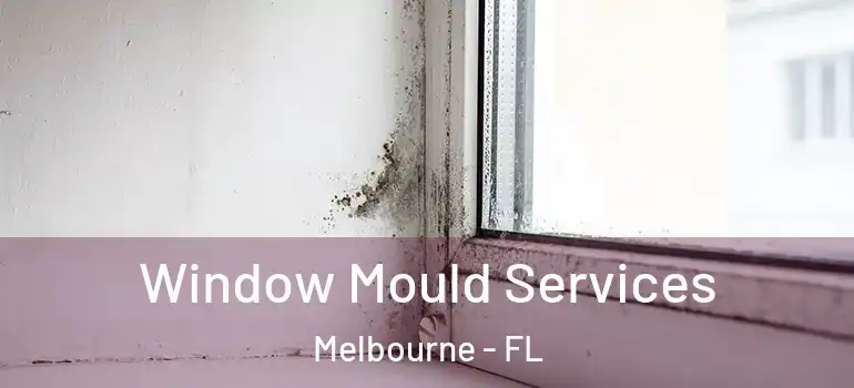  Window Mould Services Melbourne - FL